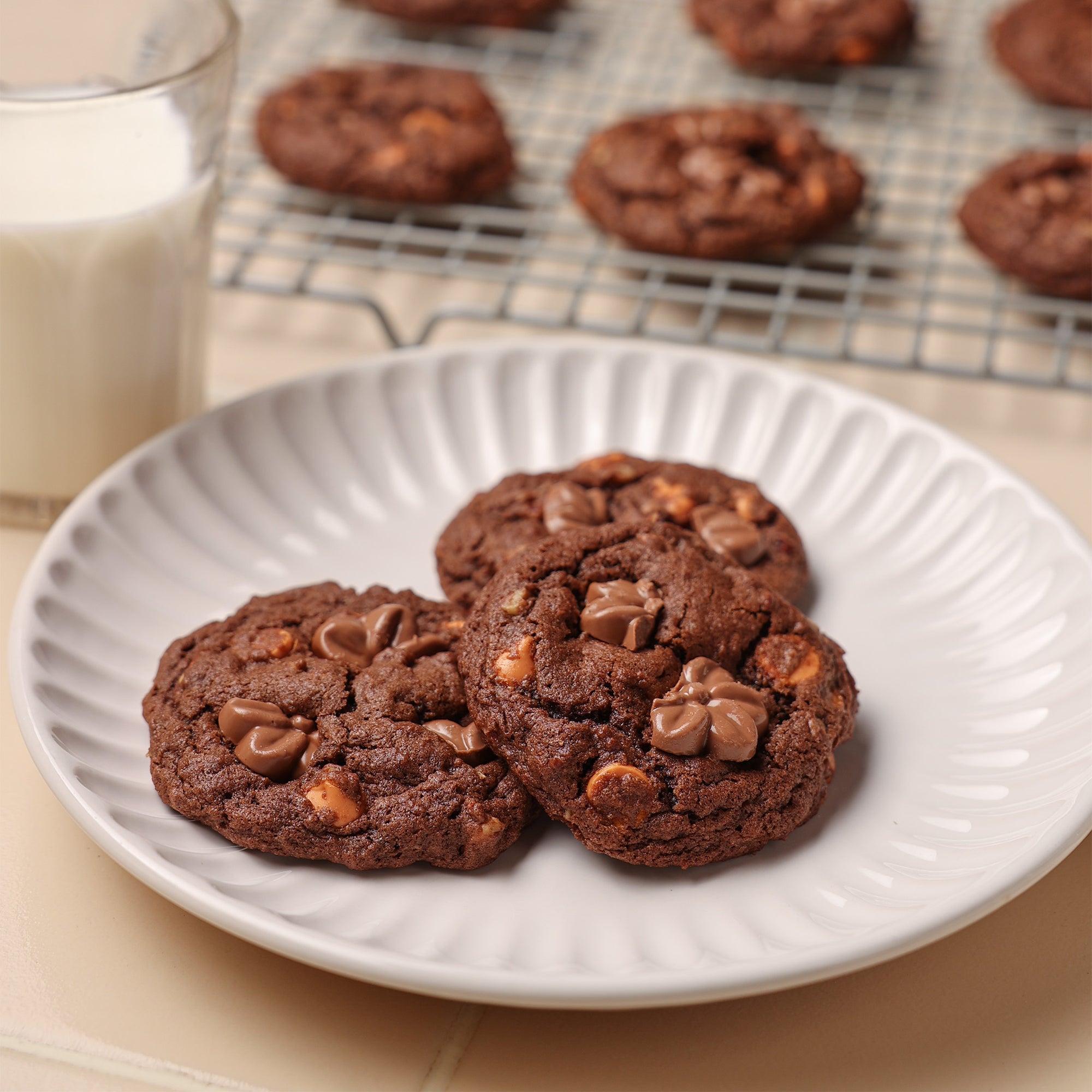 Dutch Processed Cocoa Powder 22/24