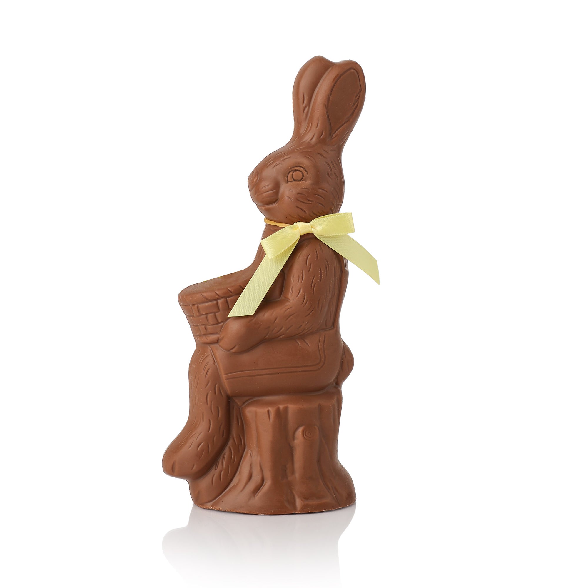 Bunny on Log