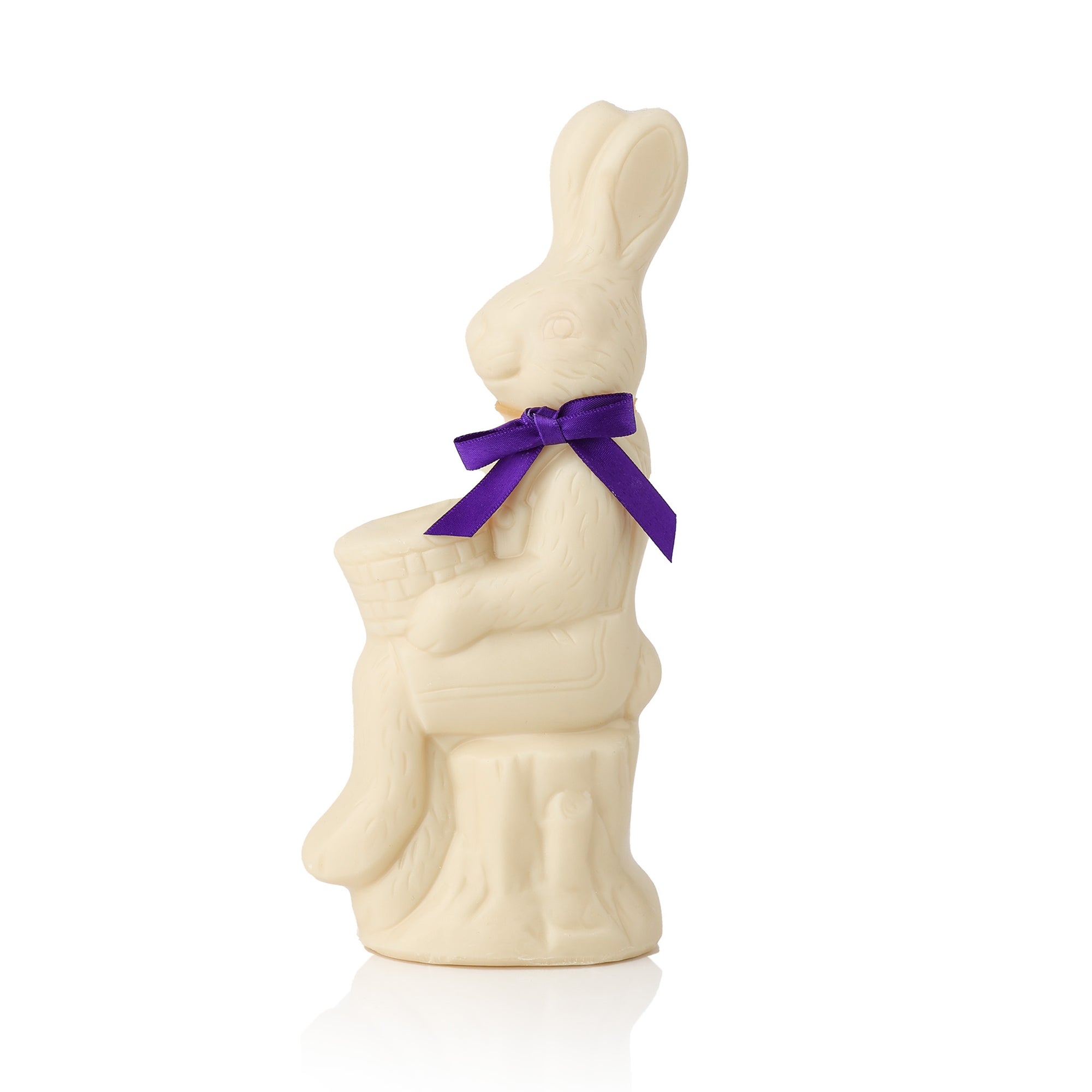 Bunny on Log