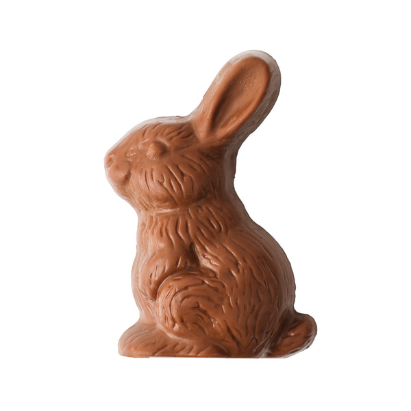 Little Bunny
