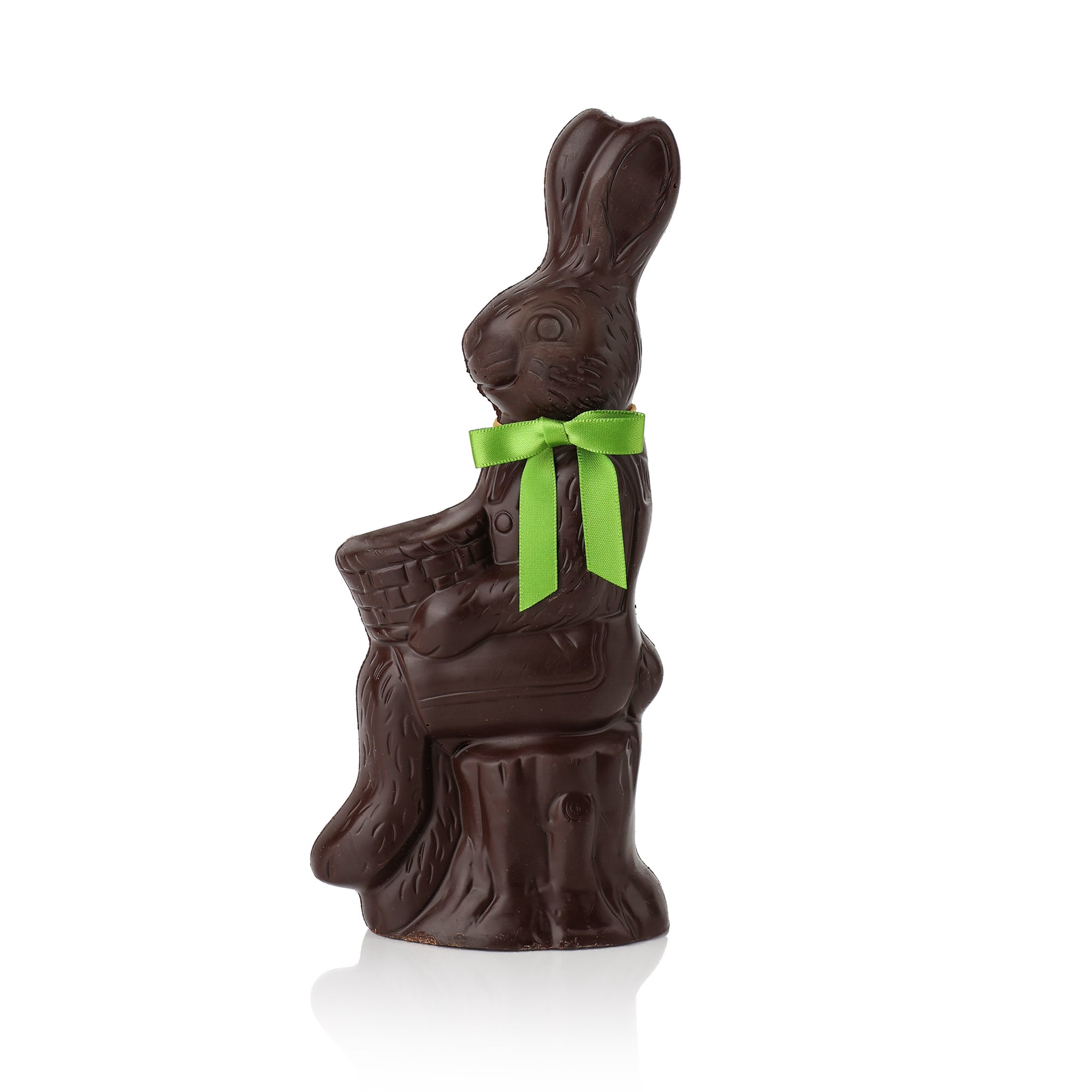 Bunny on Log