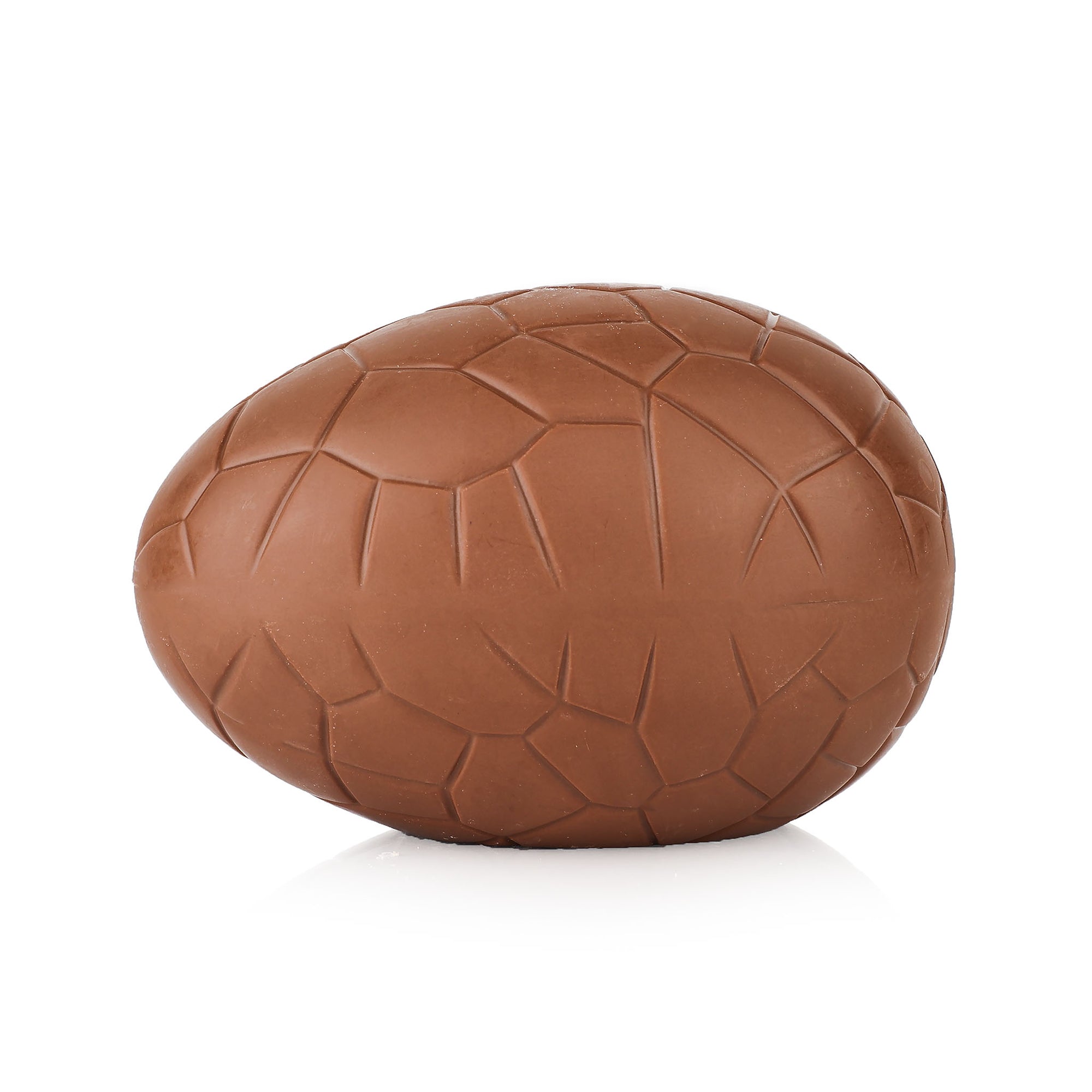 BashEgg®