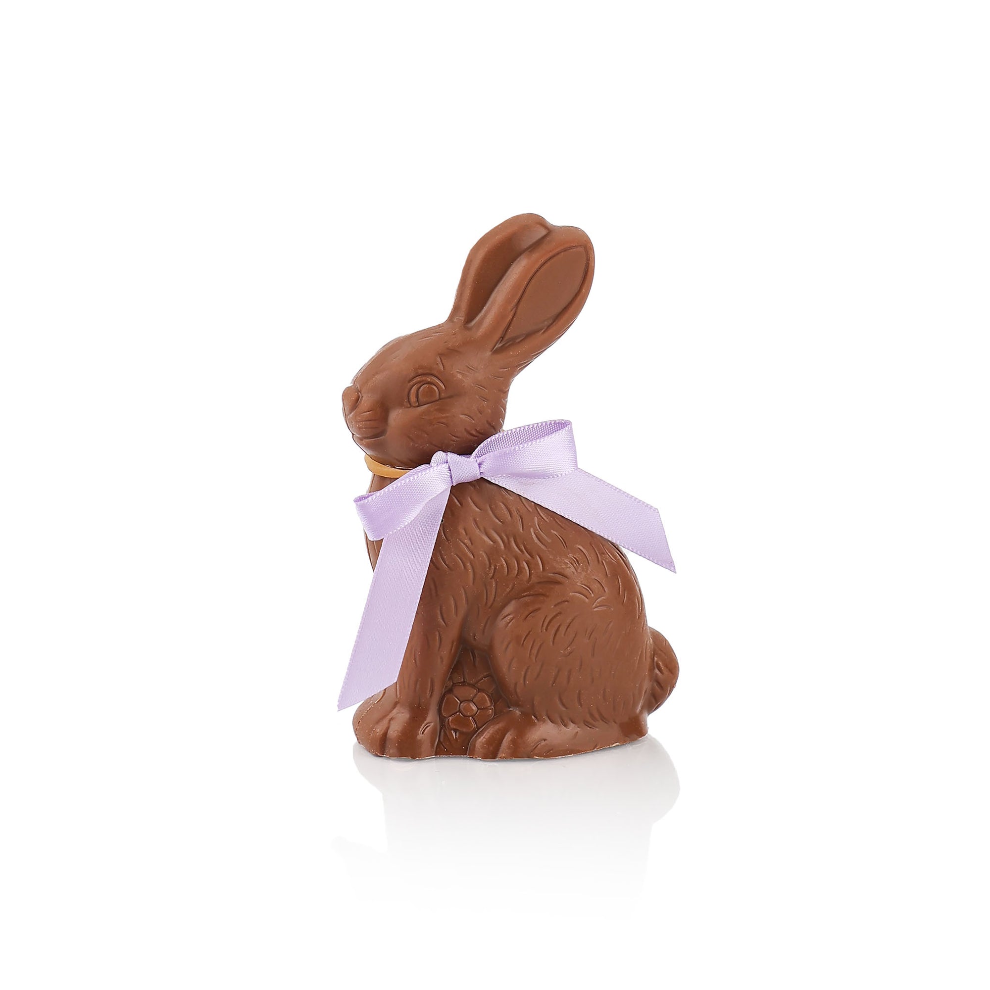 Solid Sitting Bunny