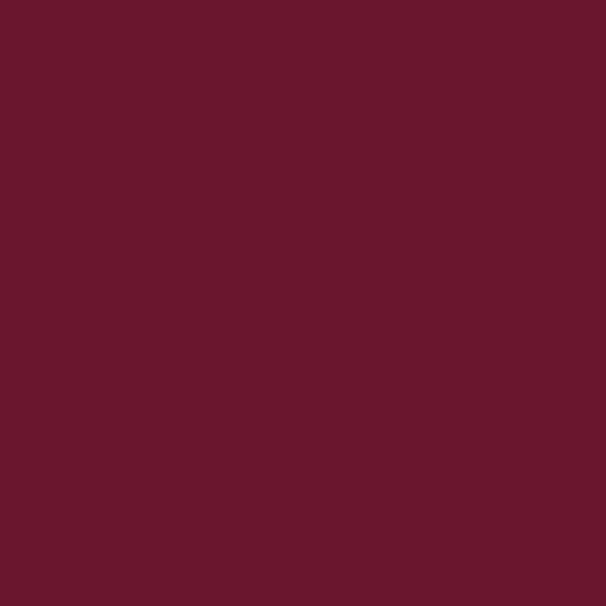 Burgundy Bow