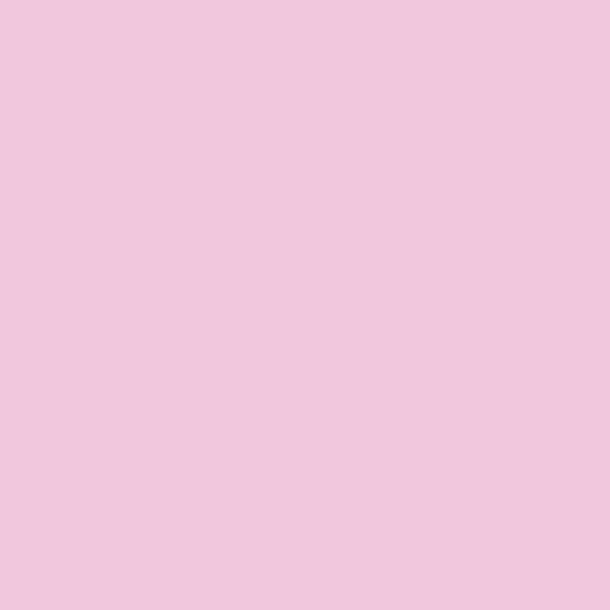Light Pink Bow