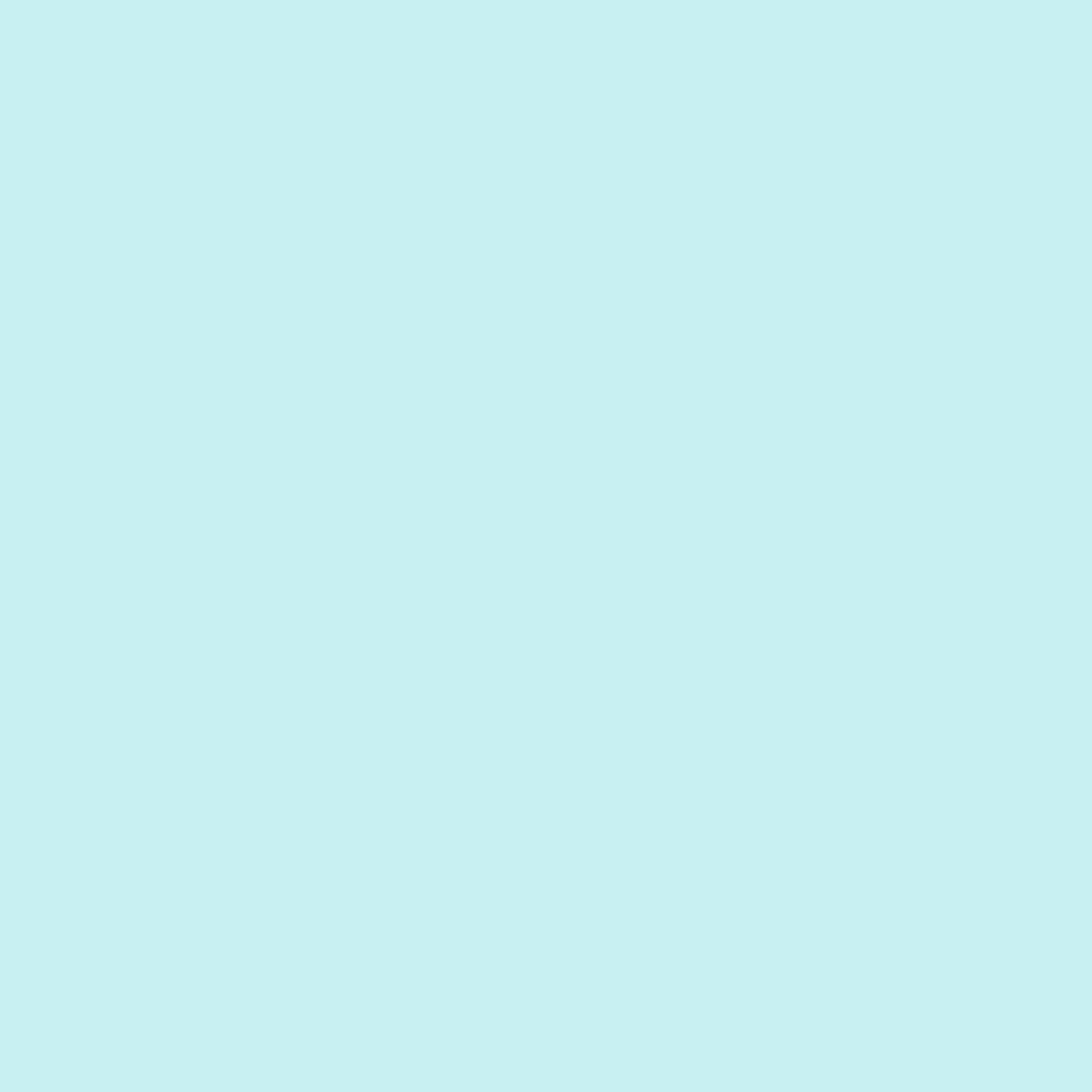 Light Blue Bow