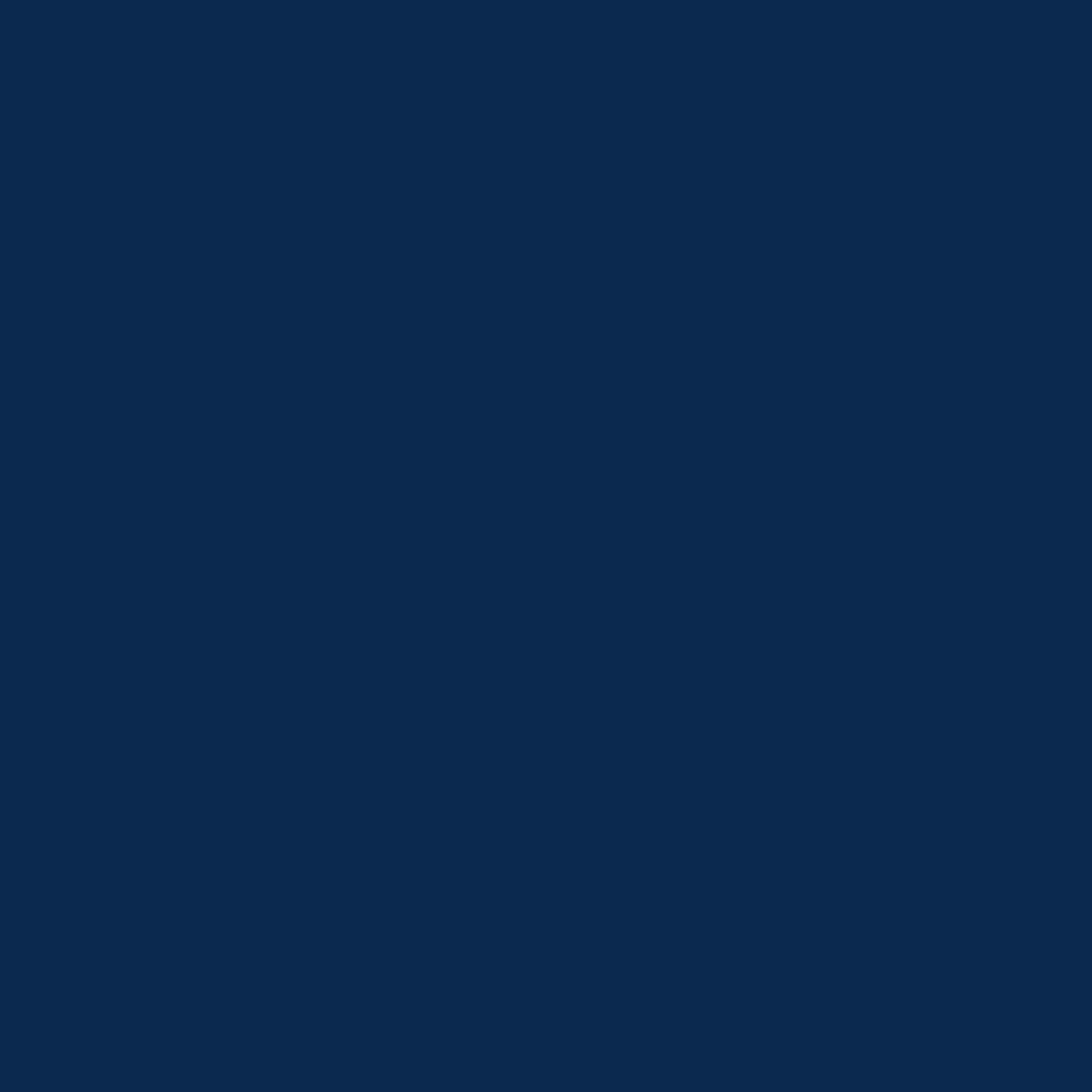 Navy Blue Bow