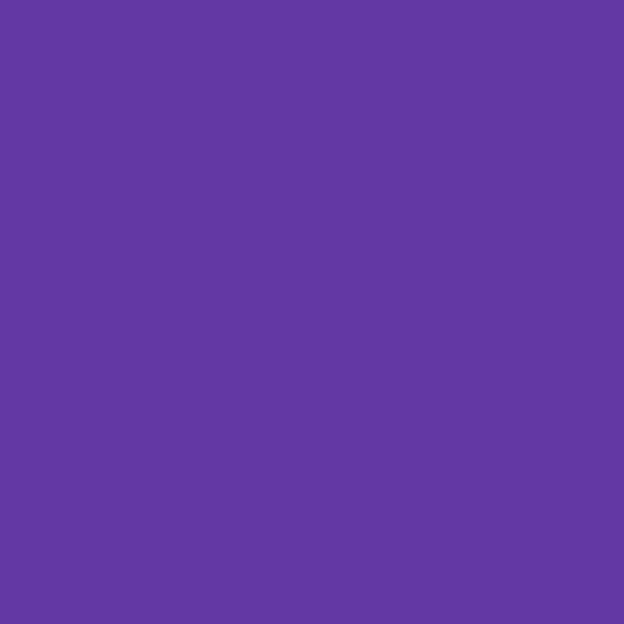 Purple Bow
