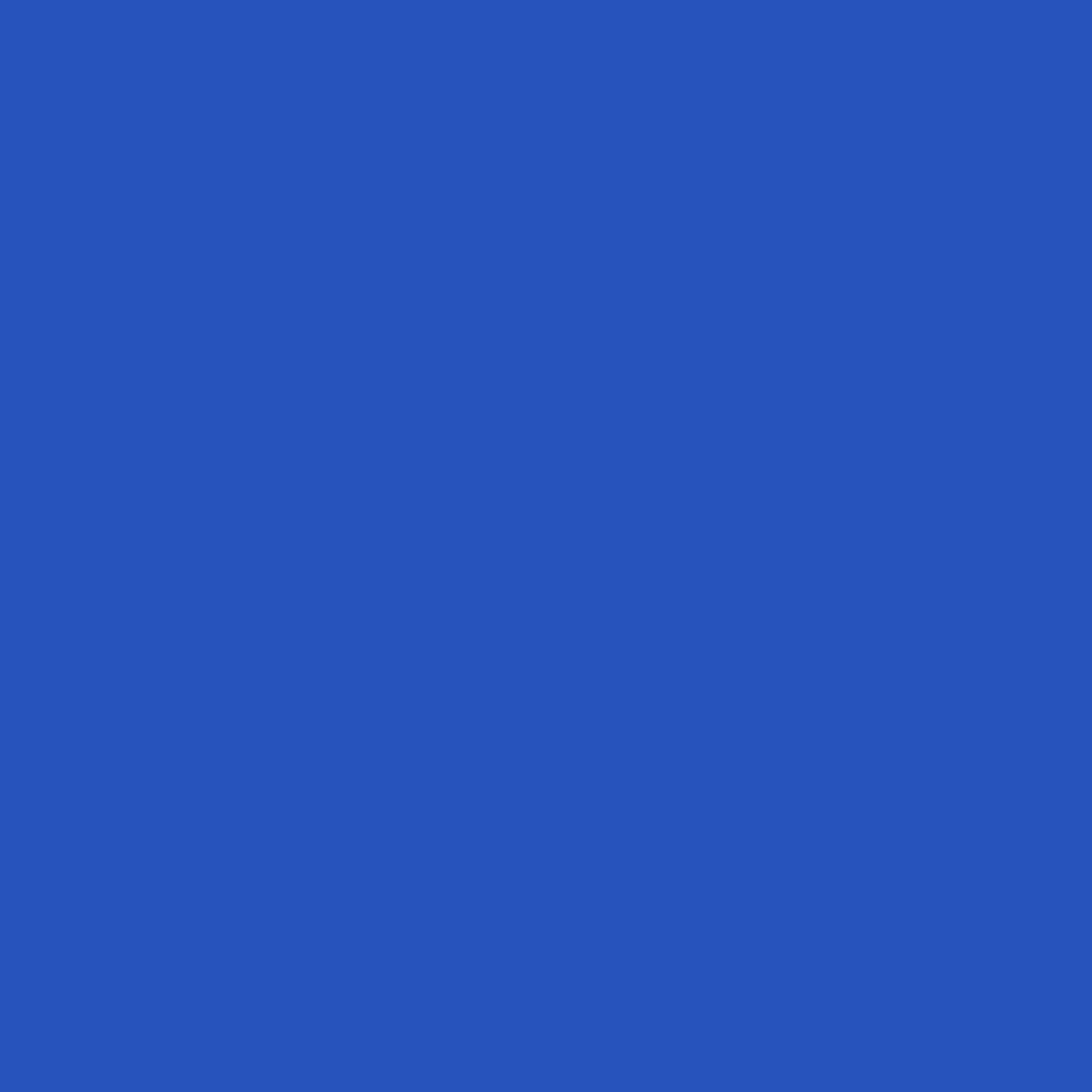 Royal Blue Bow