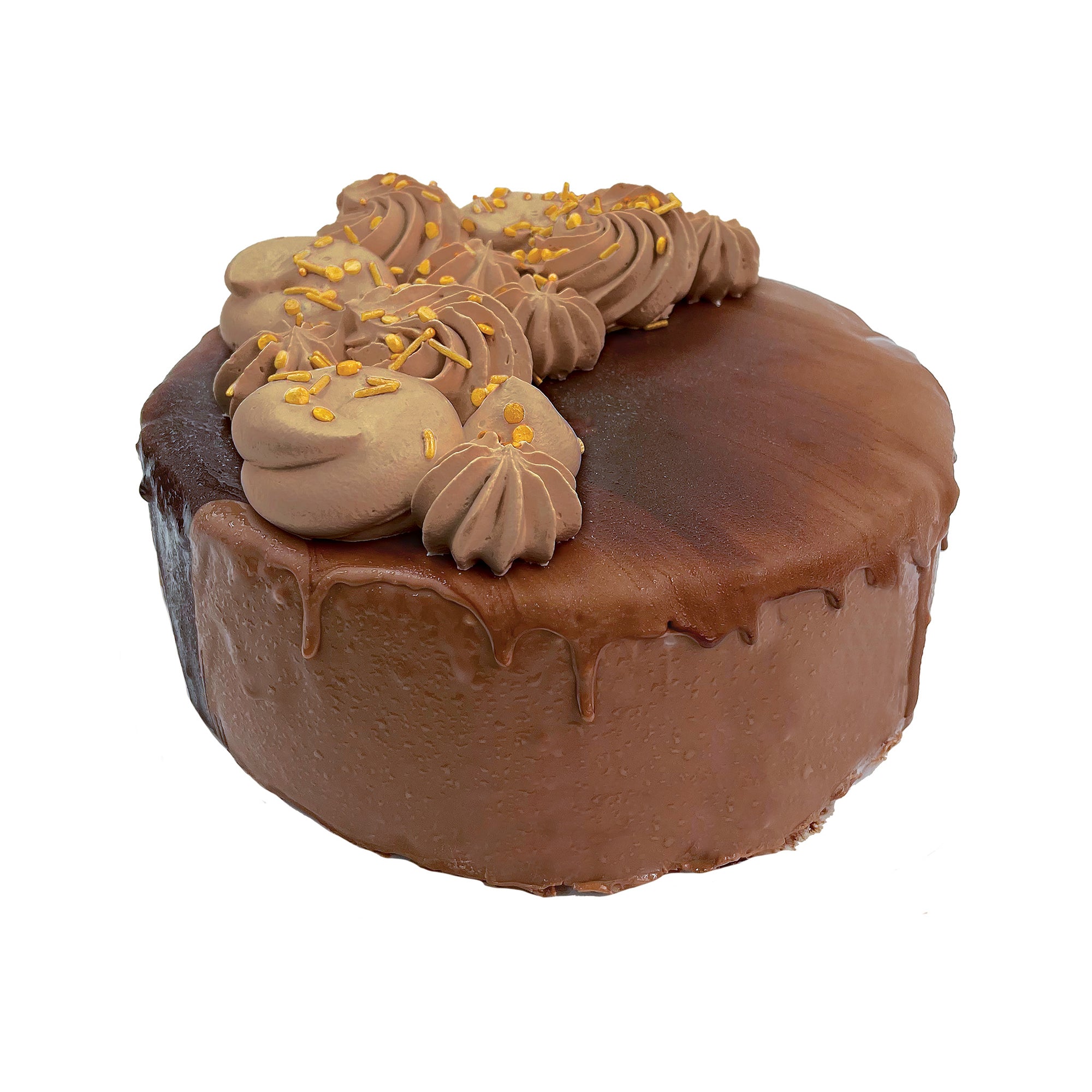 Milk Chocolate Hard Cap Ice Cream Cake
