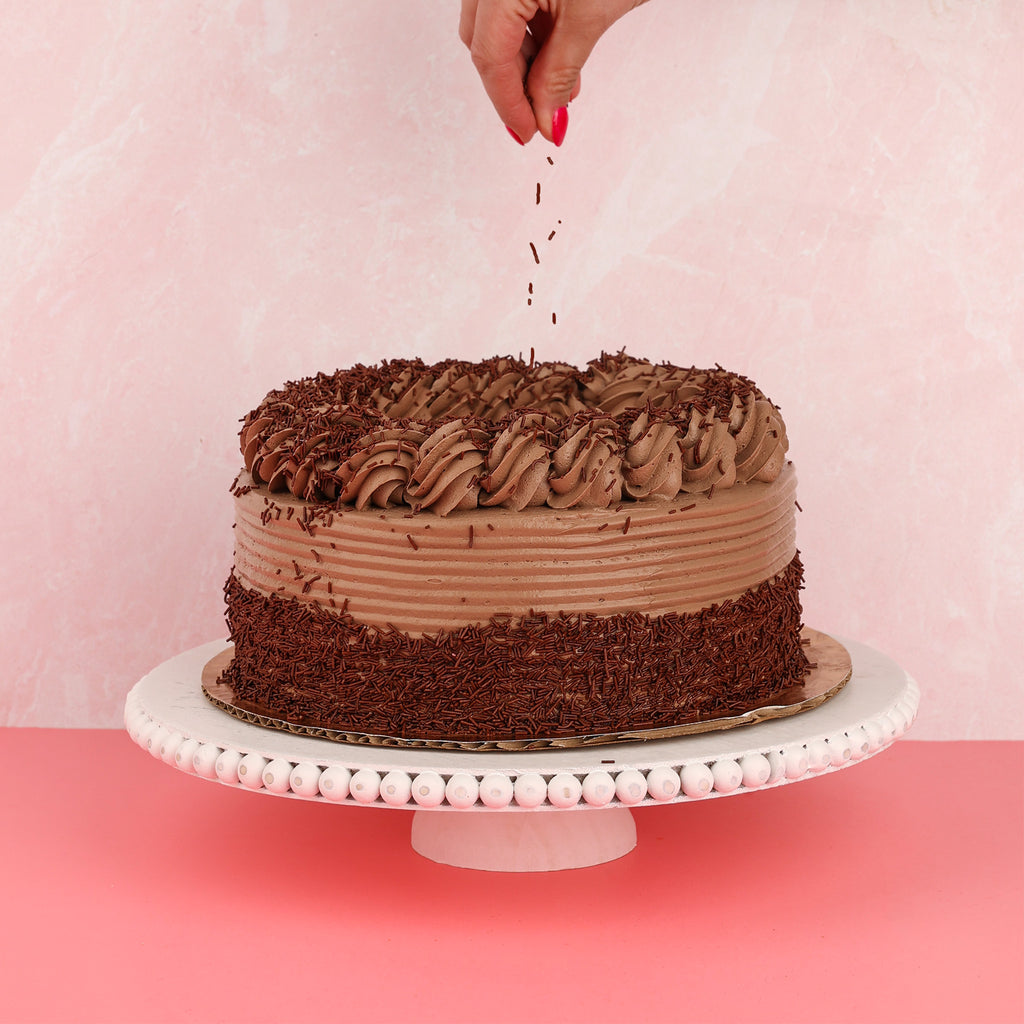 Chocolate Jimmies Ice Cream Cake