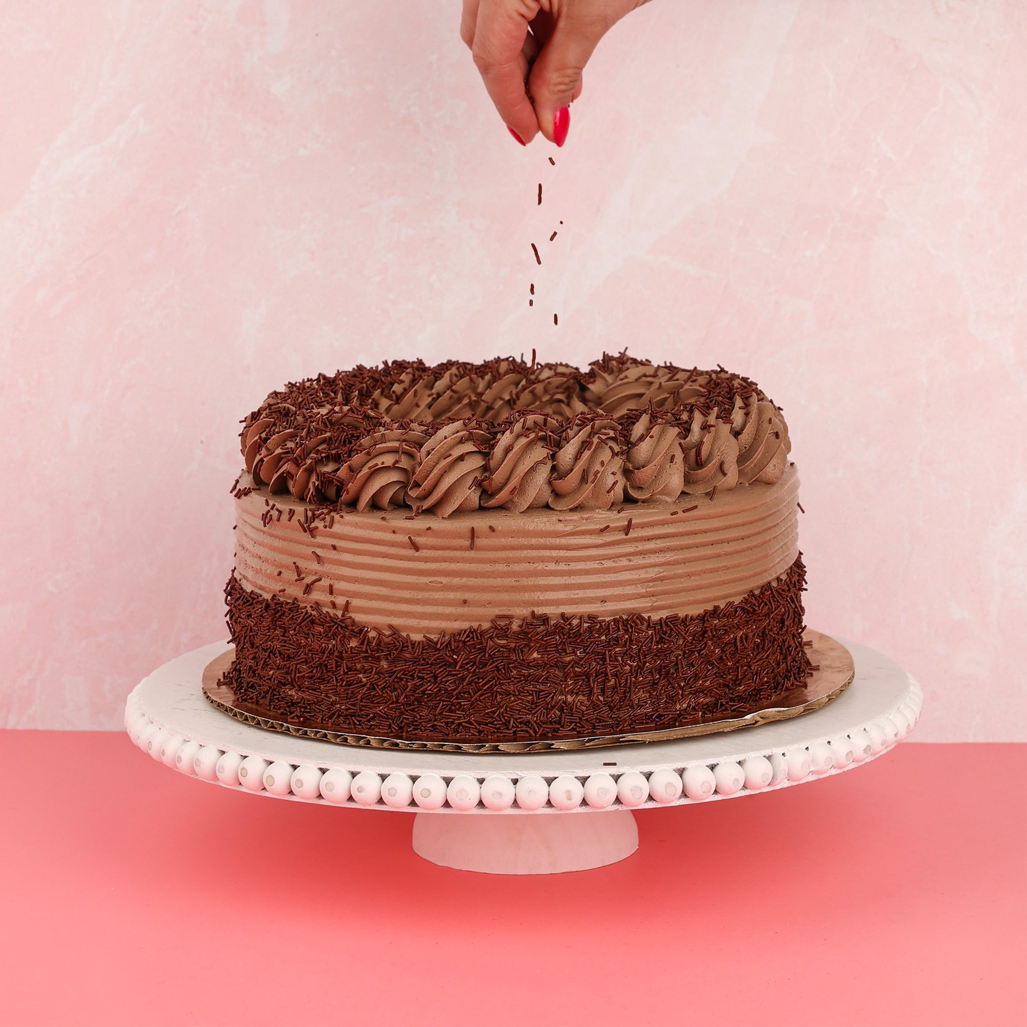 Chocolate Jimmies Ice Cream Cake