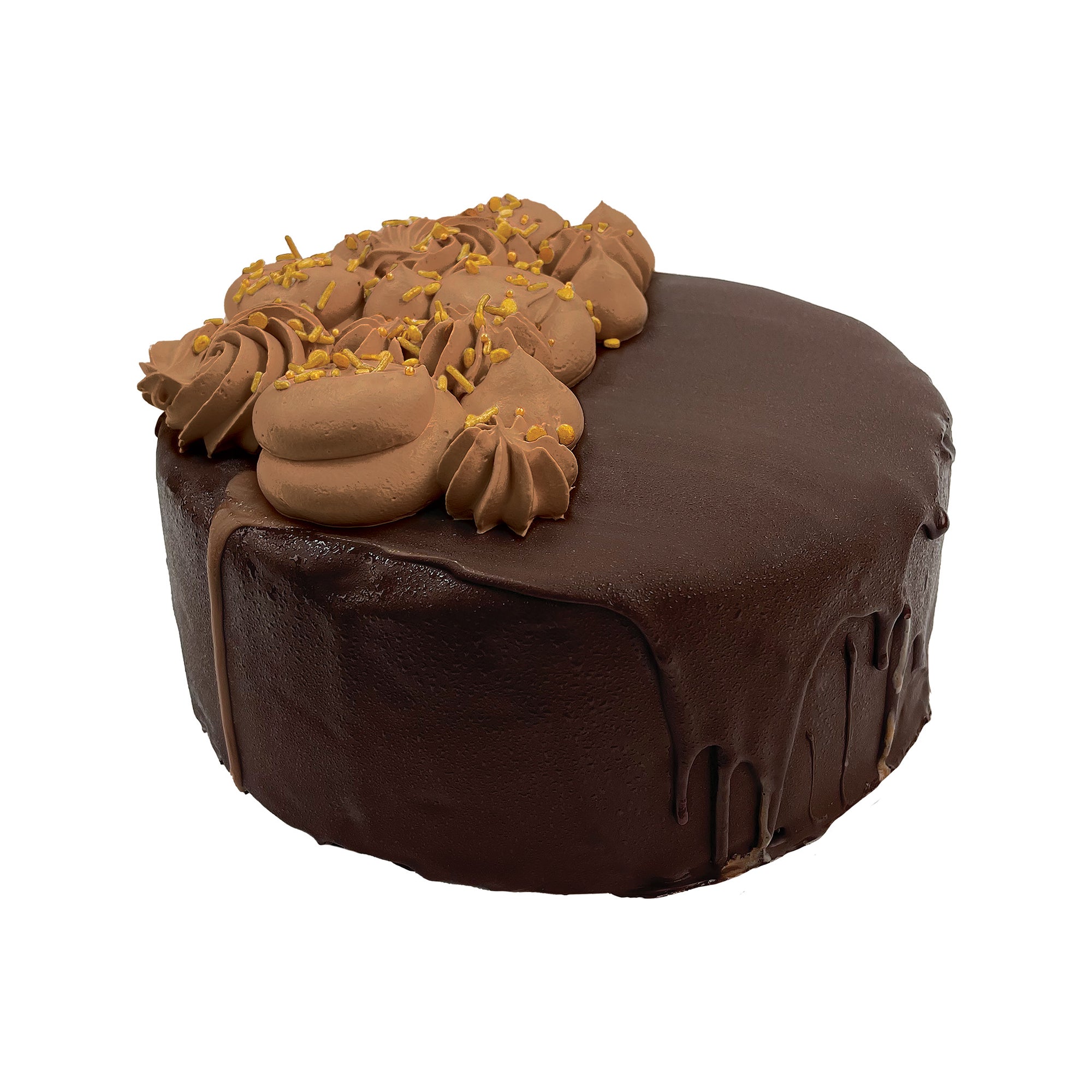 Dark Chocolate Hard Cap Ice Cream Cake