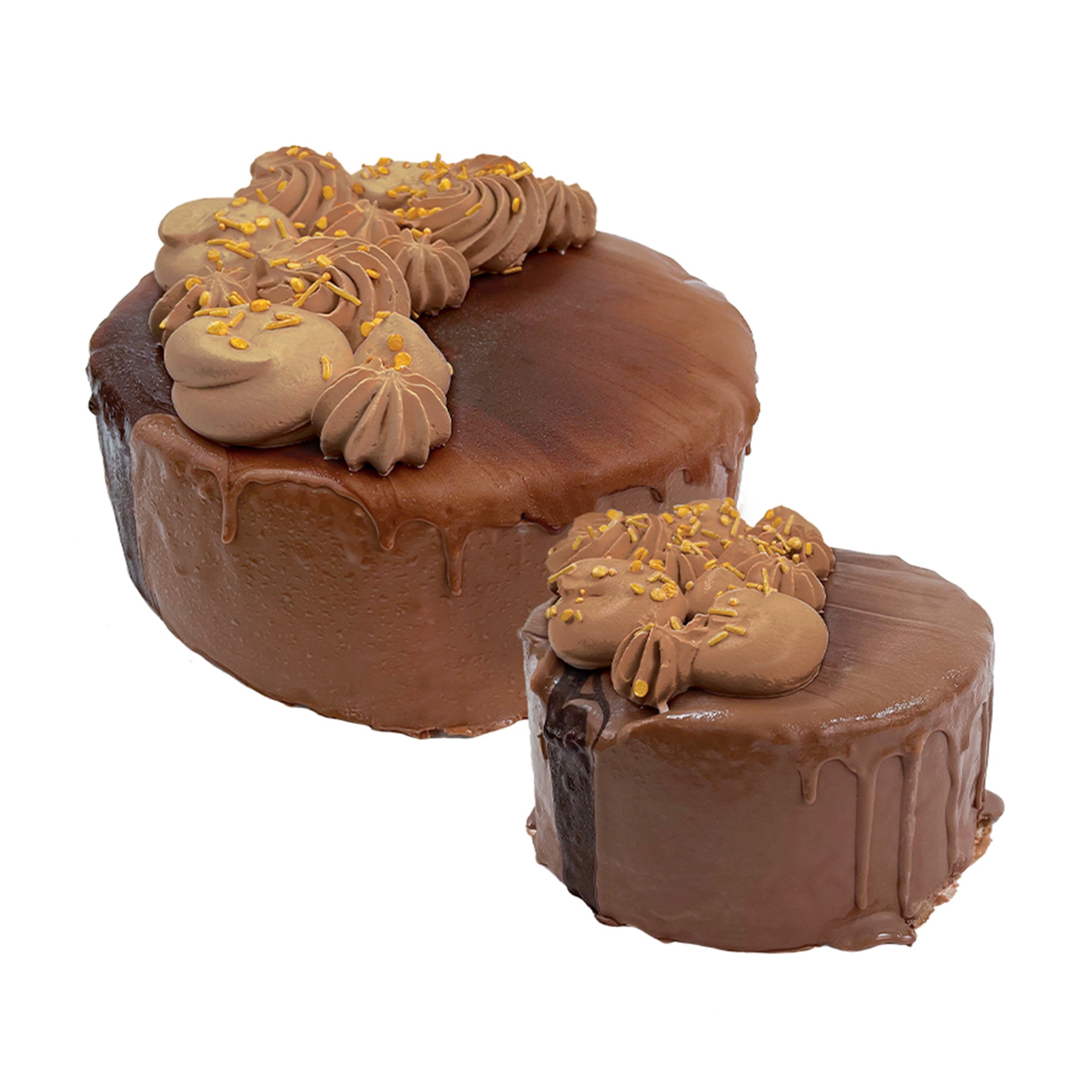 Milk Chocolate Hard Cap Ice Cream Cake