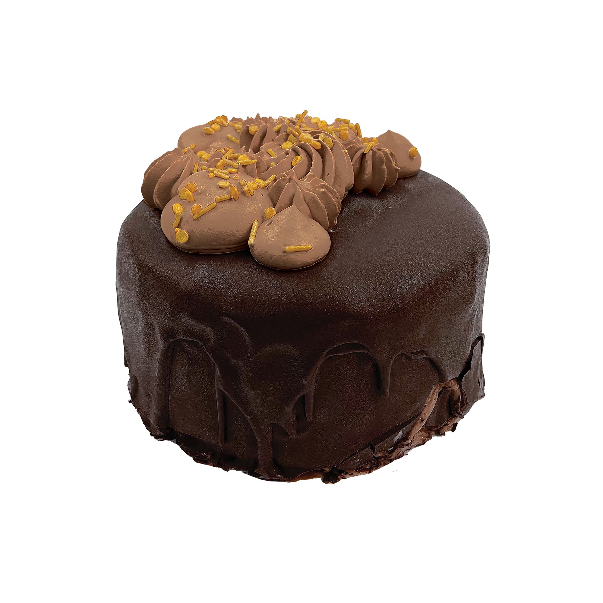 Dark Chocolate Hard Cap Ice Cream Cake