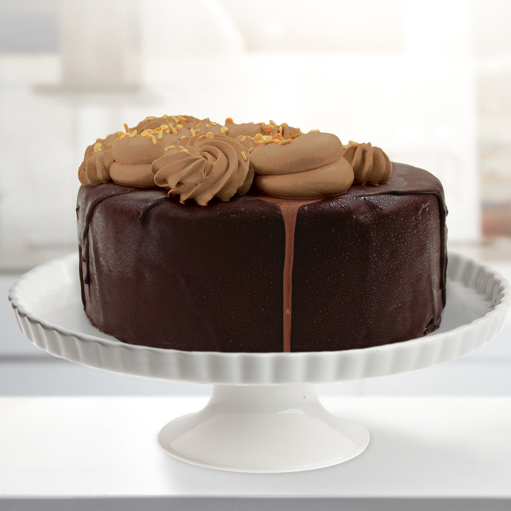 Dark Chocolate Hard Cap Ice Cream Cake
