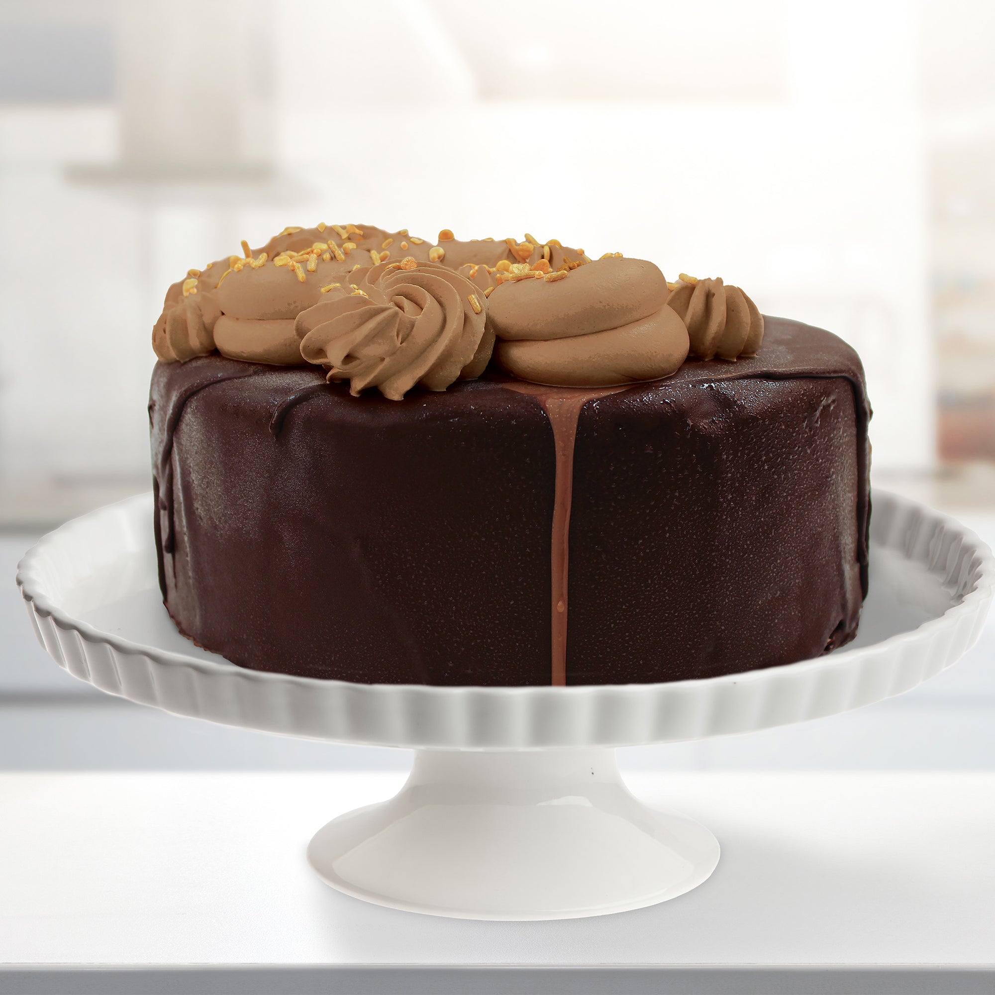 Dark Chocolate Hard Cap Ice Cream Cake