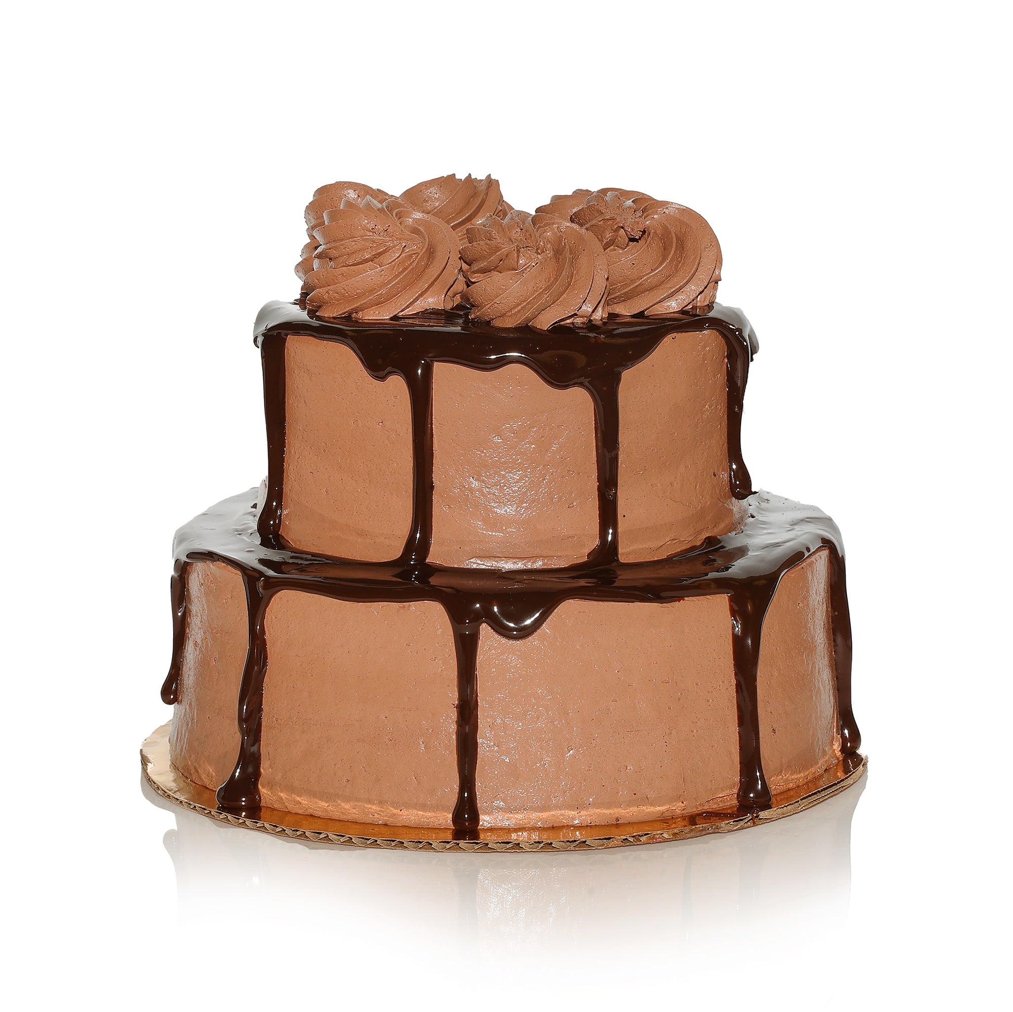 Double Fudge Ice Cream Cake