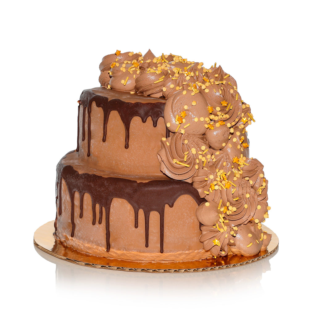Milk Chocolate Hard Cap Ice Cream Cake